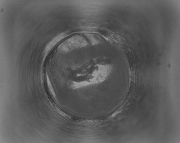 X0000067880294200604271808