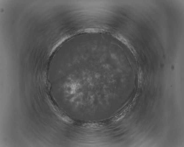 X0000067880297200604271808