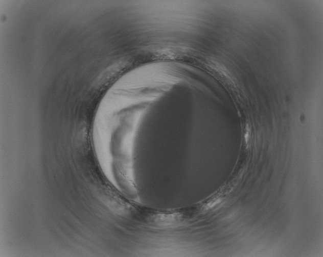 X0000067880314200604271808