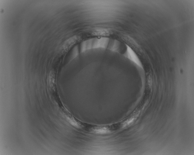 X0000067880322200604271807