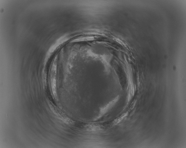 X0000067880343200604271806