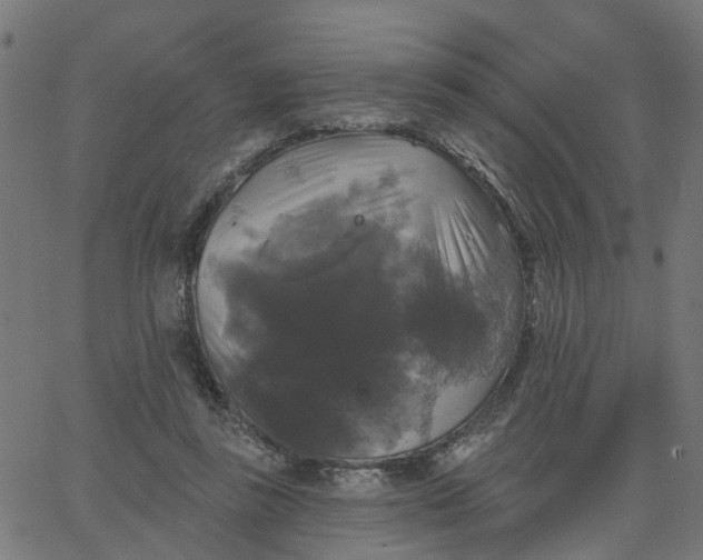 X0000067880355200604271807