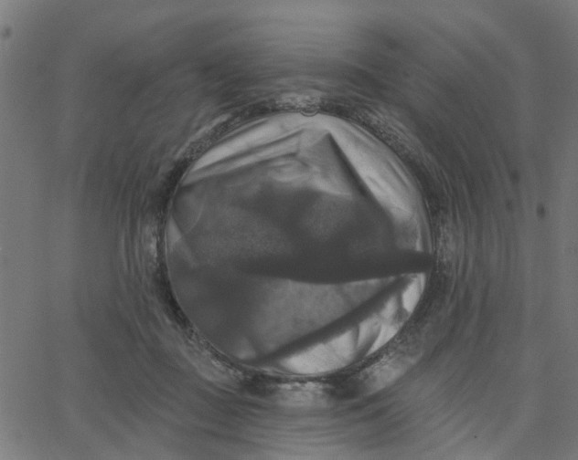 X0000067880363200604271807
