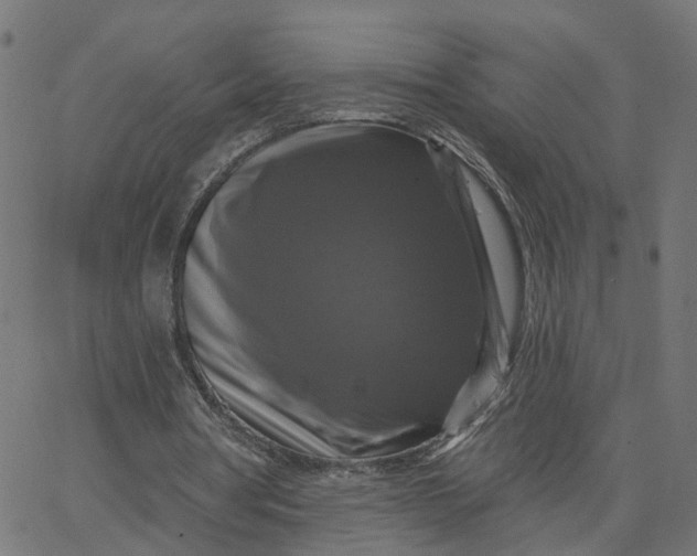 X0000067880386200604271806