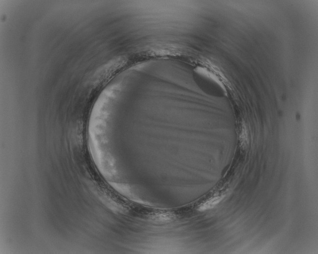 X0000067880402200604271806