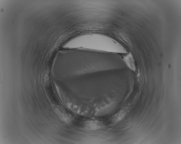 X0000067880408200604271806