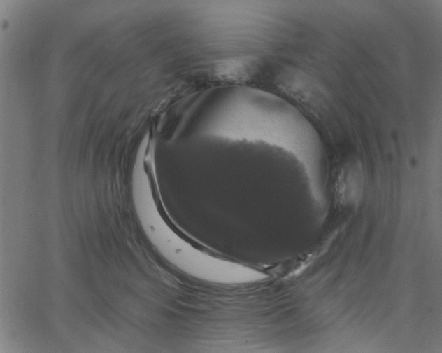 X0000067880424200604271806