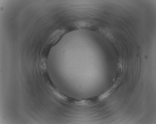 X0000067880430200604271806