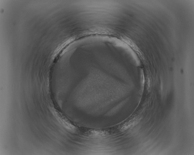 X0000067880442200604271805