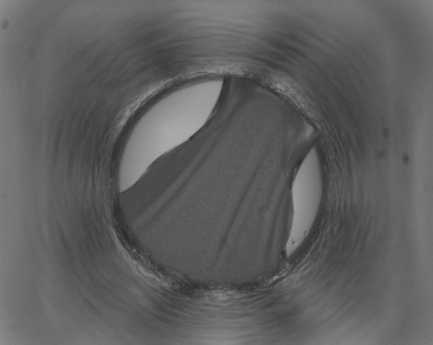 X0000067880444200604271805