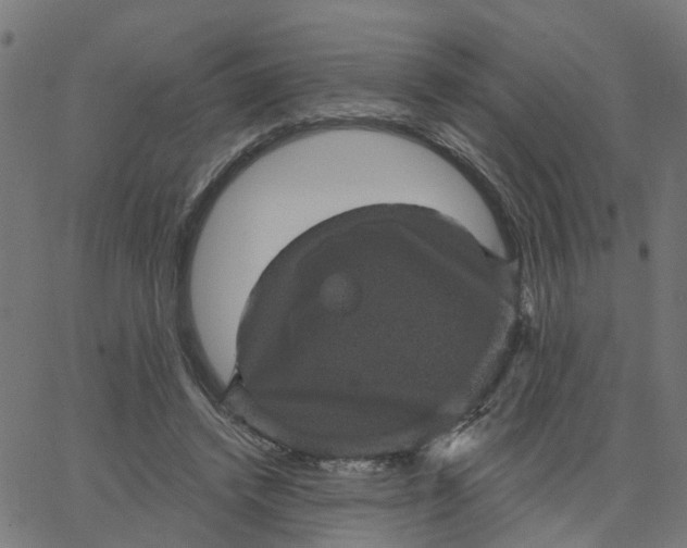 X0000067880448200604271805