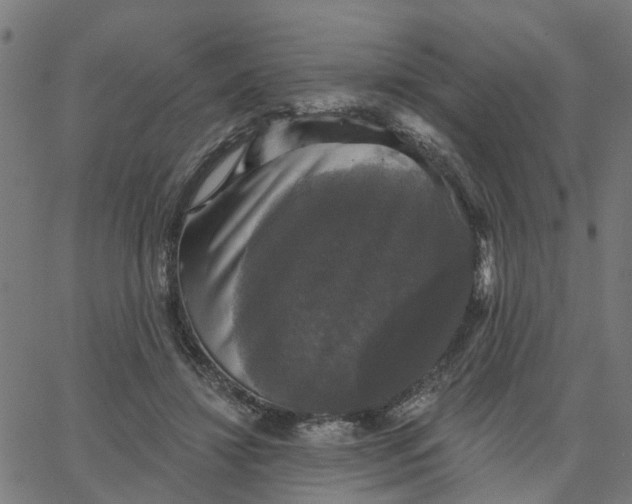 X0000067880452200604271805