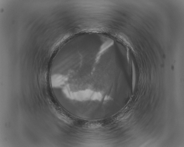 X0000067880491200604271805