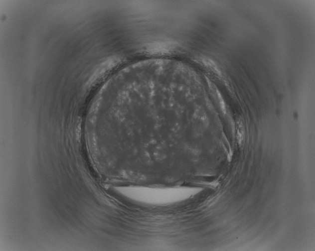 X0000067880495200604271805