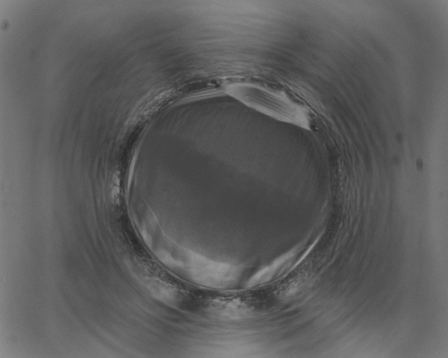 X0000067880502200604271804
