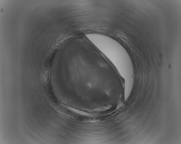 X0000067880503200604271804