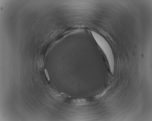 X0000067880517200604271804