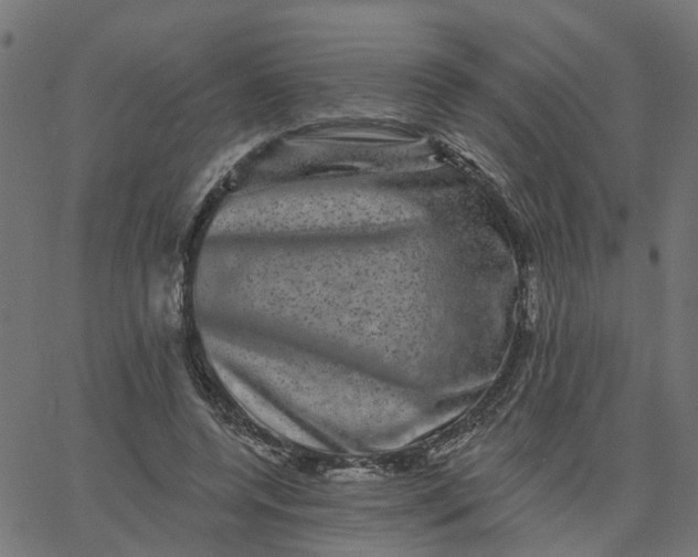 X0000067880544200604271803