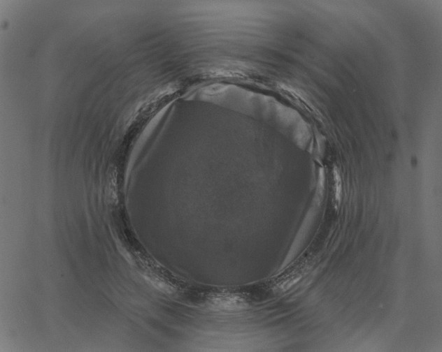 X0000067880547200604271804