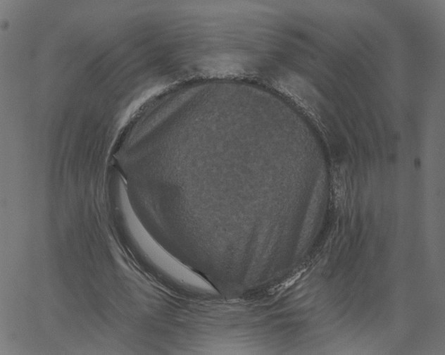 X0000067880583200604271803