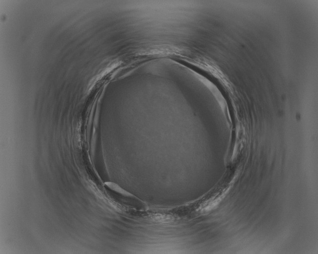 X0000067880585200604271803