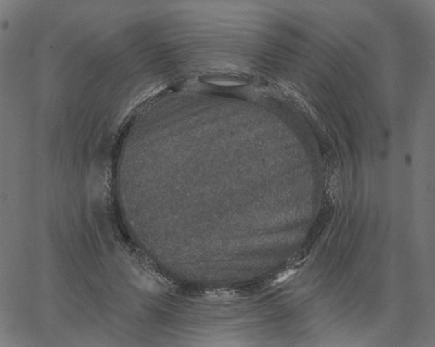 X0000067880591200604271803