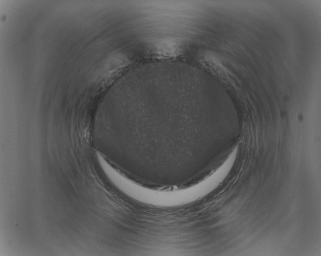 X0000067880608200604271803
