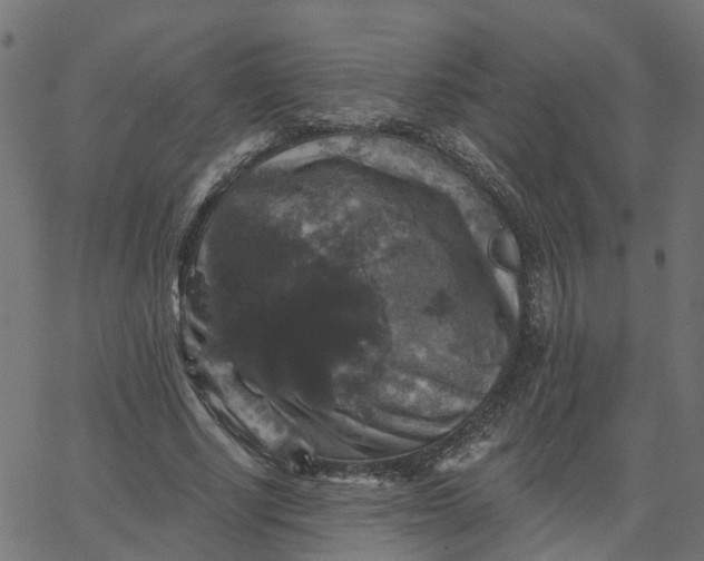 X0000067880634200604271802