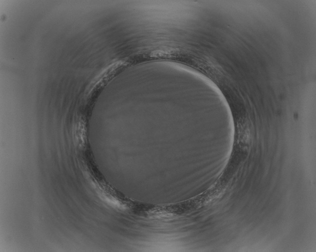 X0000067880648200604271802
