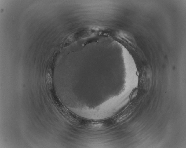 X0000067880651200604271802