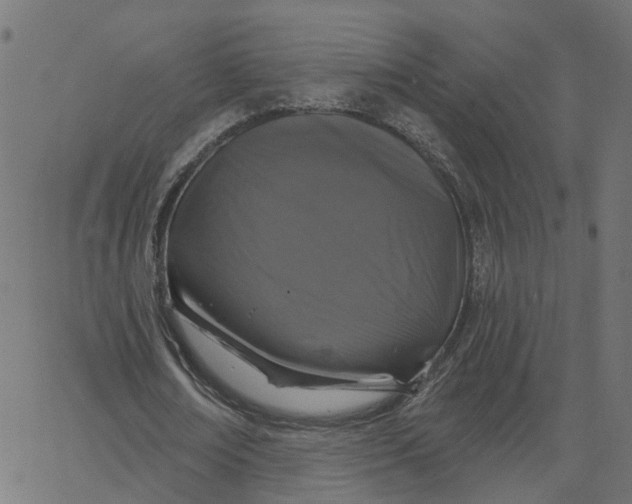 X0000067880674200604271802