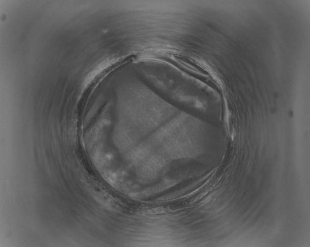 X0000067880675200604271802