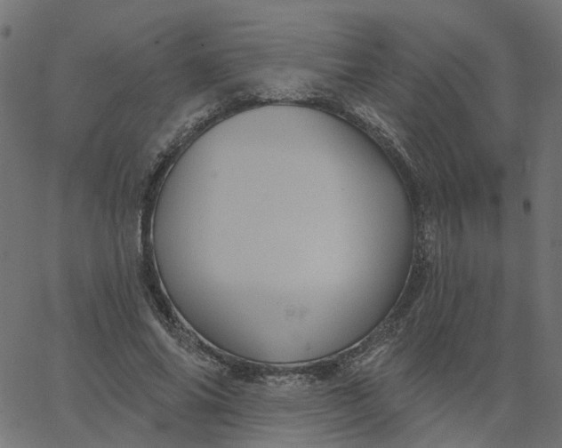 X0000067880686200604271801