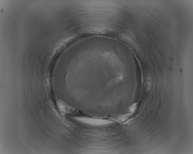 X0000067880688200604271801