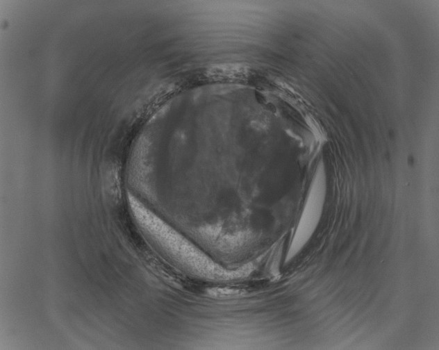 X0000067880699200604271801