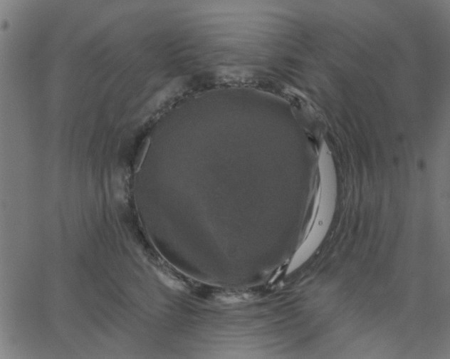 X0000067880712200604271801