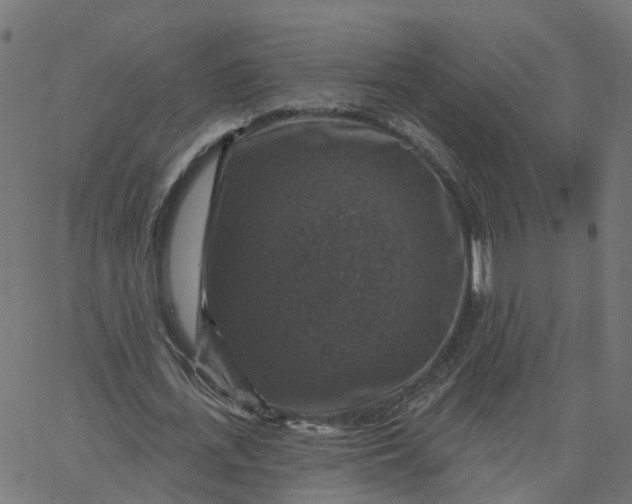 X0000067880723200604271800