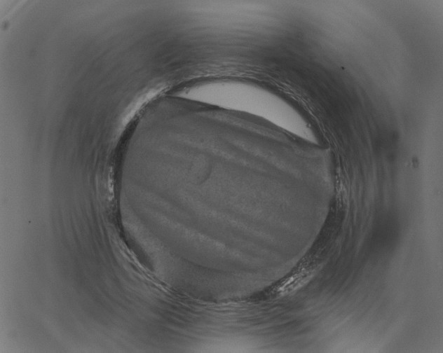 X0000067880731200604271800