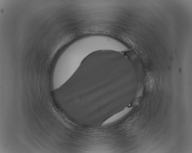 X0000067880735200604271800