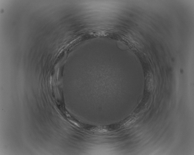 X0000067880747200604271800