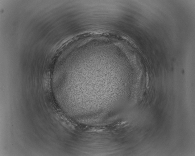X0000067880773200604271800