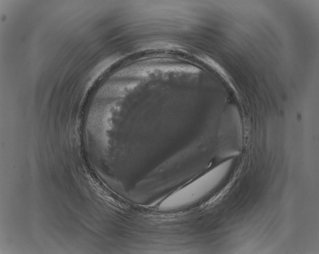 X0000067880783200604271800