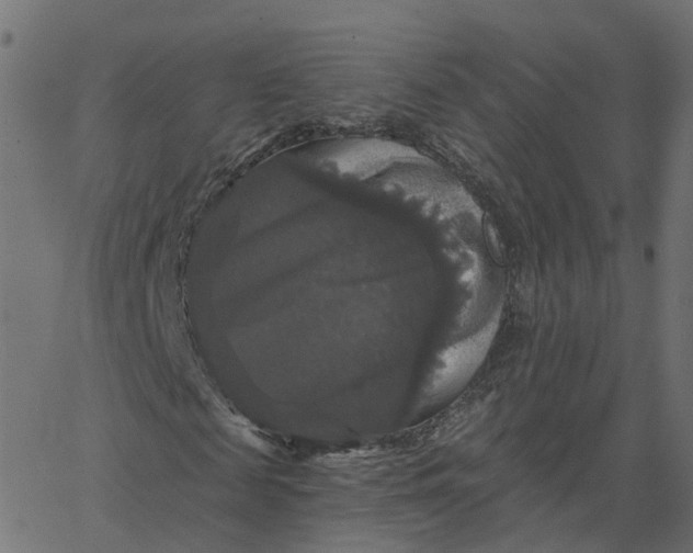 X0000067880817200604271758