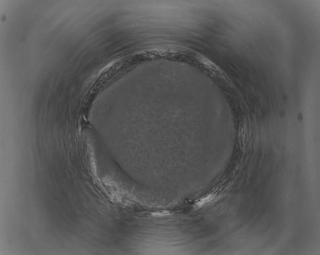 X0000067880822200604271759
