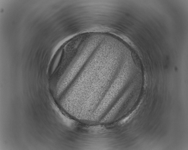X0000067880838200604271759