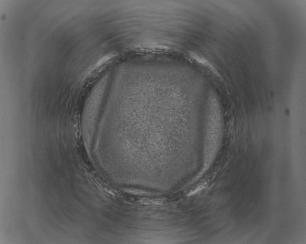 X0000067880870200604271758