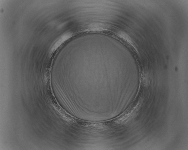 X0000067880874200604271758