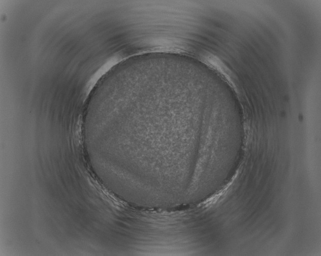 X0000067880875200604271758