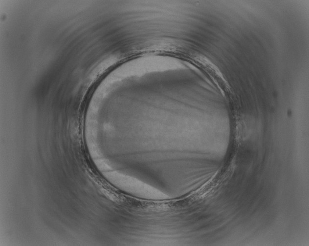 X0000067880882200604271758