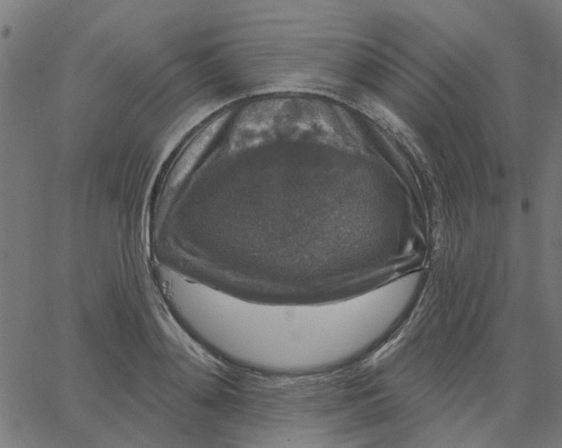 X0000067880892200604271758